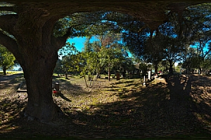 浅谈A-Frame从零开始做一个 Web 3D 互动游戏