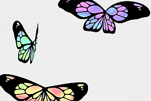 WebGL飞舞的3D蝴蝶
